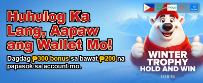 Experience the Best Stake Bet